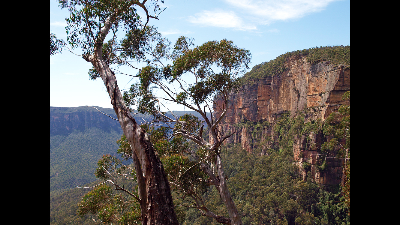 Blue_mountains1