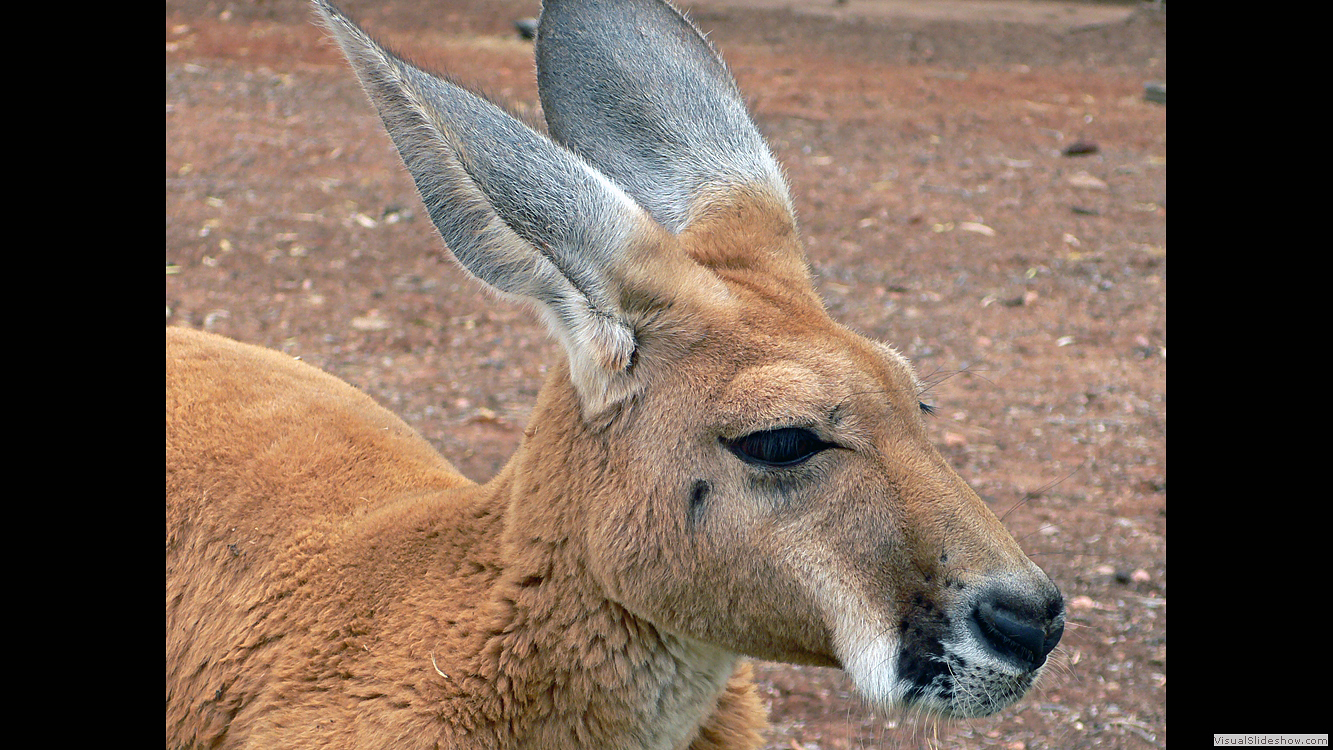 Queensland2