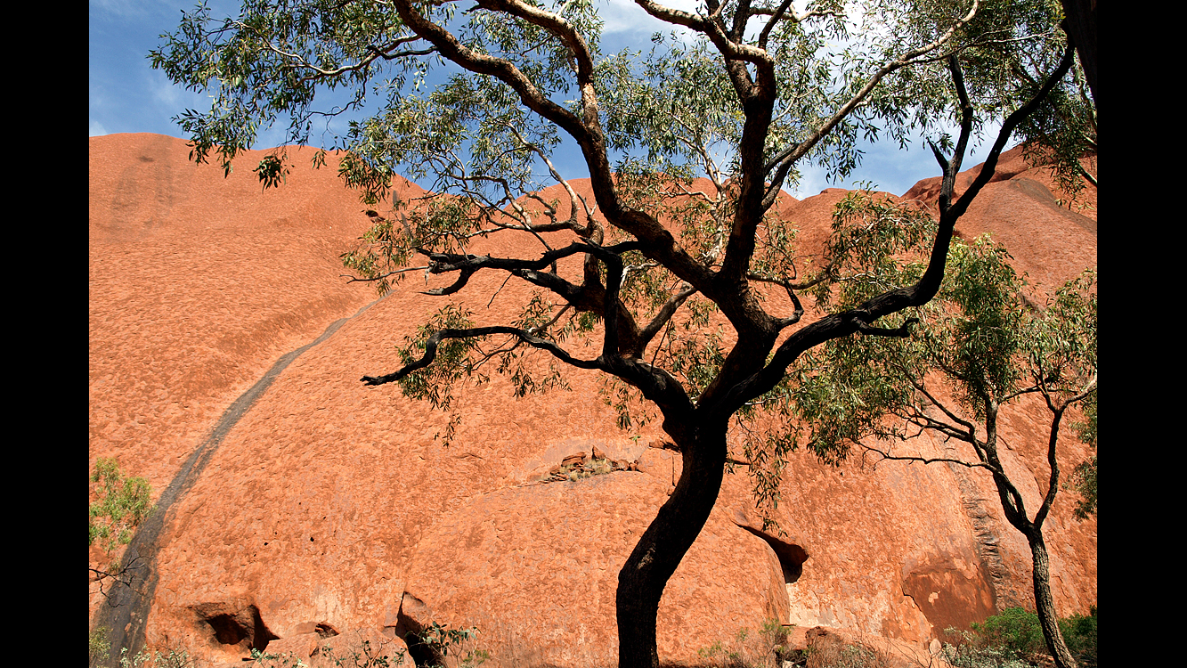 Uluru5