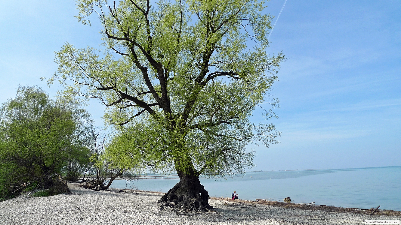 Bodensee