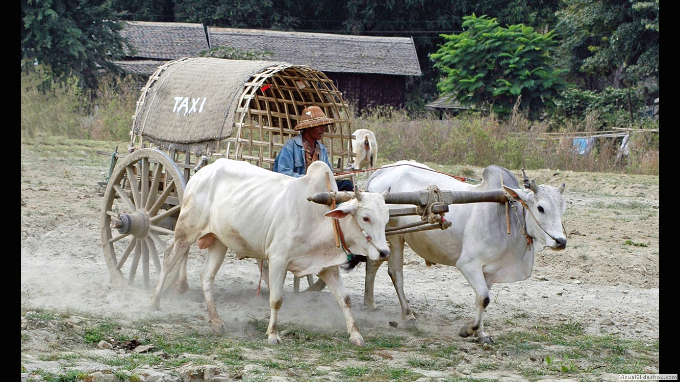 Ayeyarwaddy