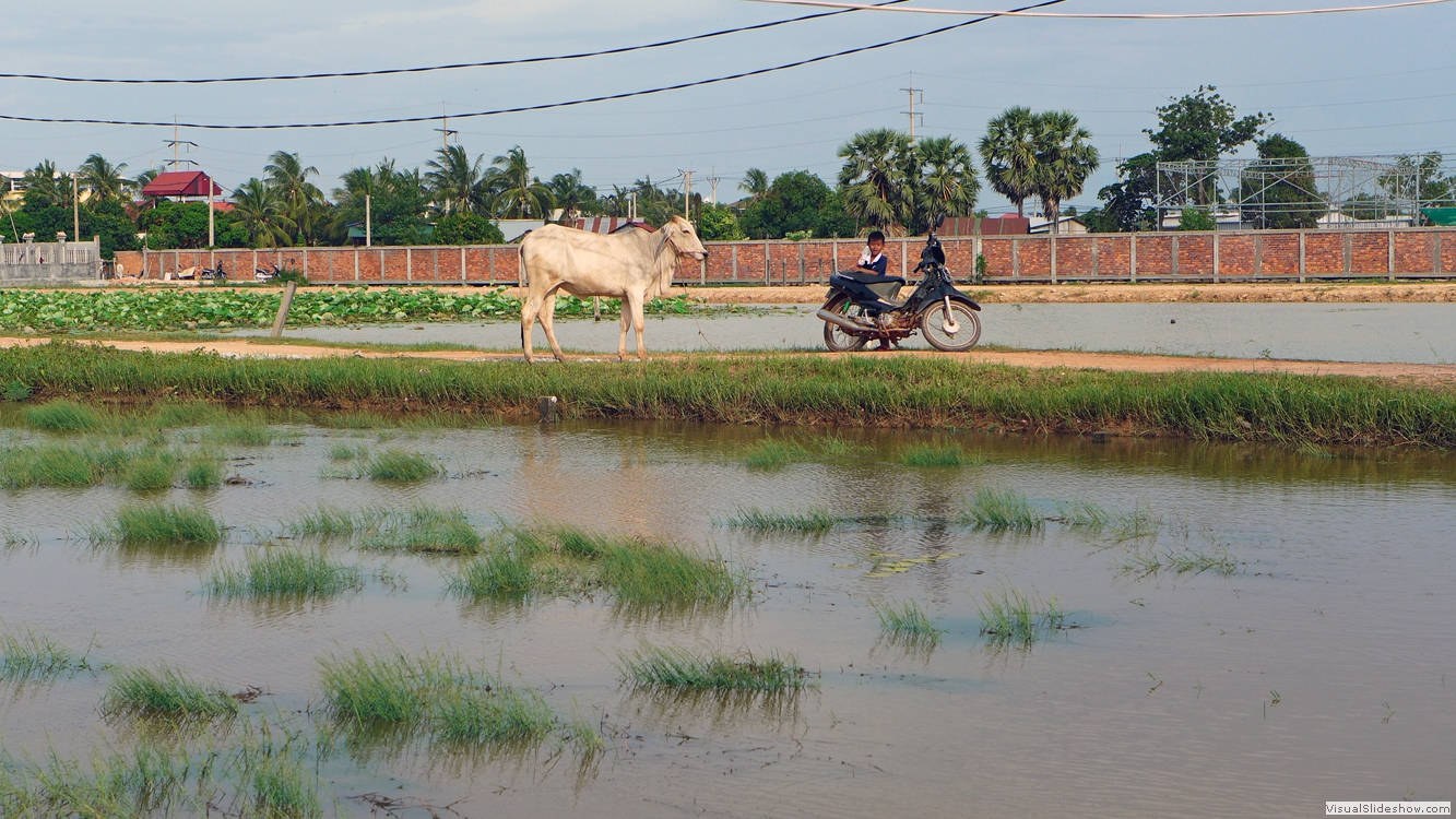 Siem Reap 2