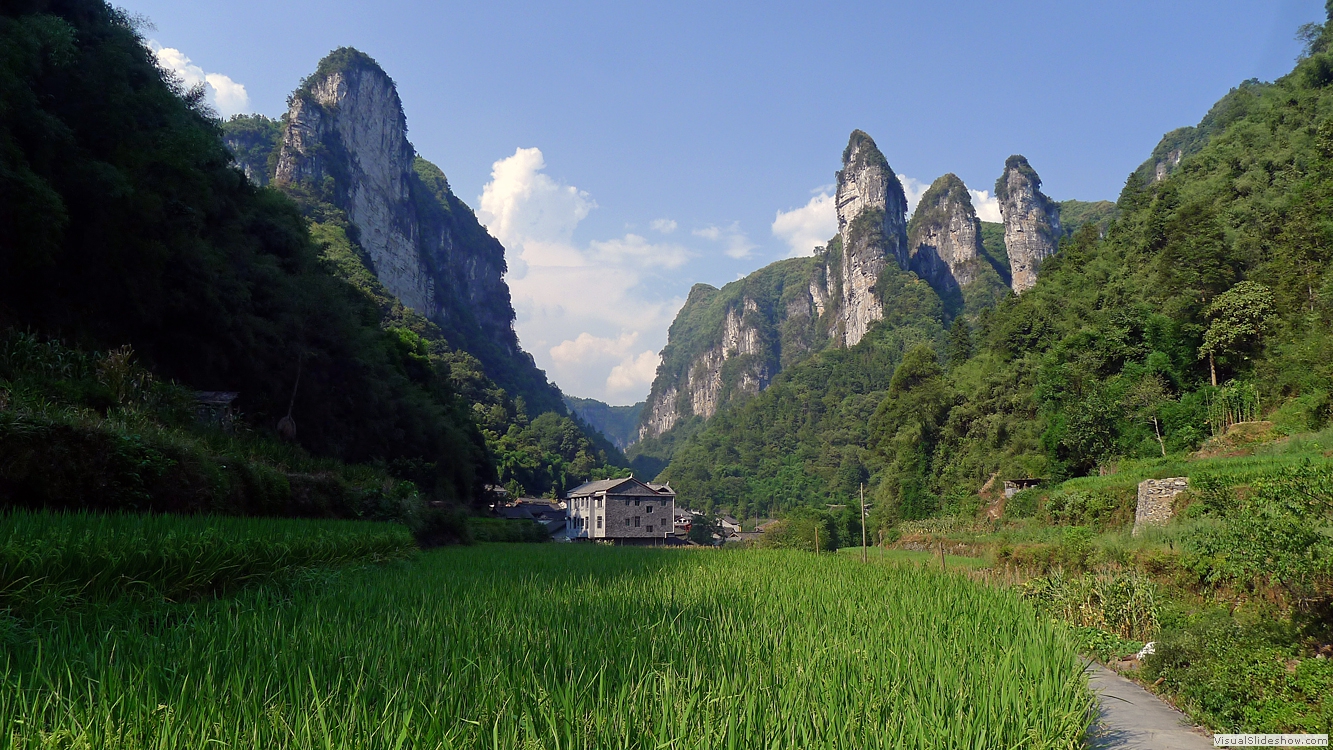 Hunan 11 (Dehang)
