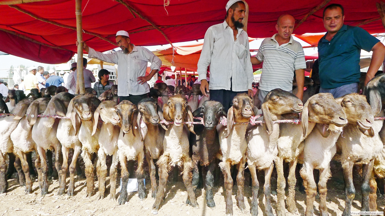 Xinjiang 5 (Kashgar)