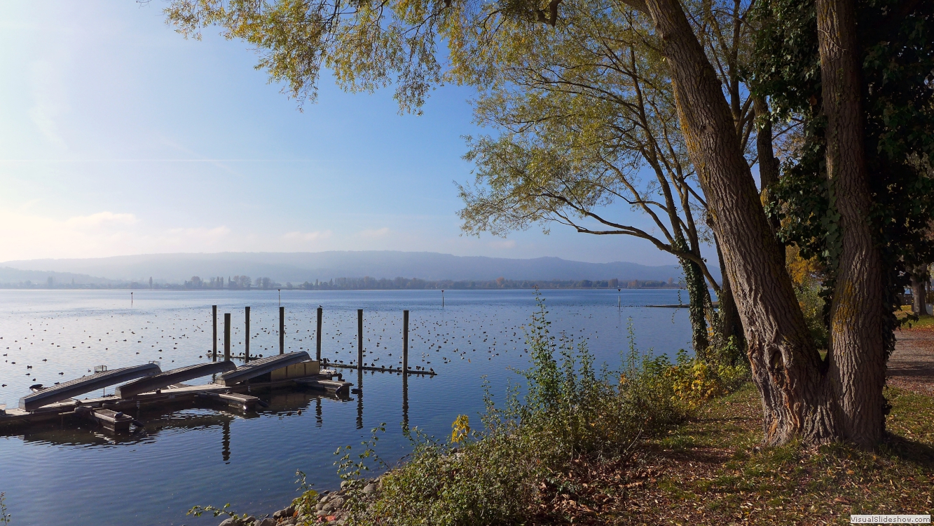 Lake Constanze near Radolfzell