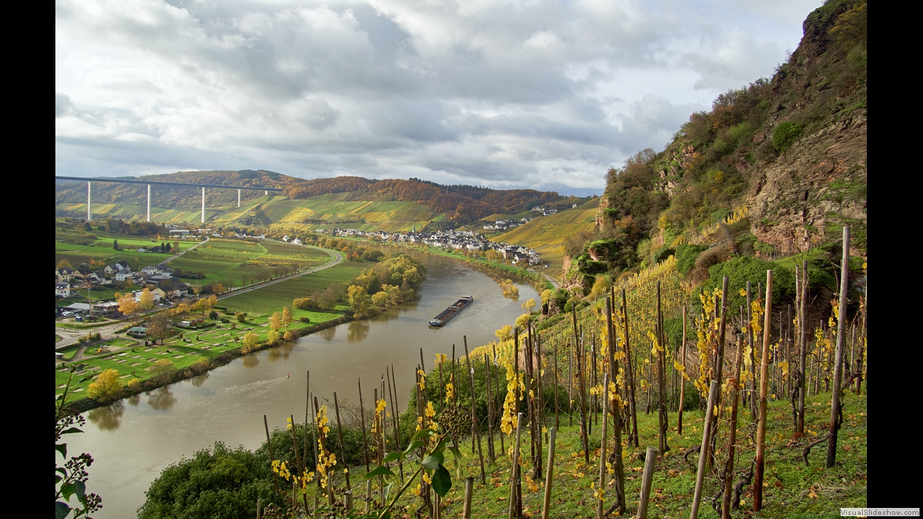 Mosel