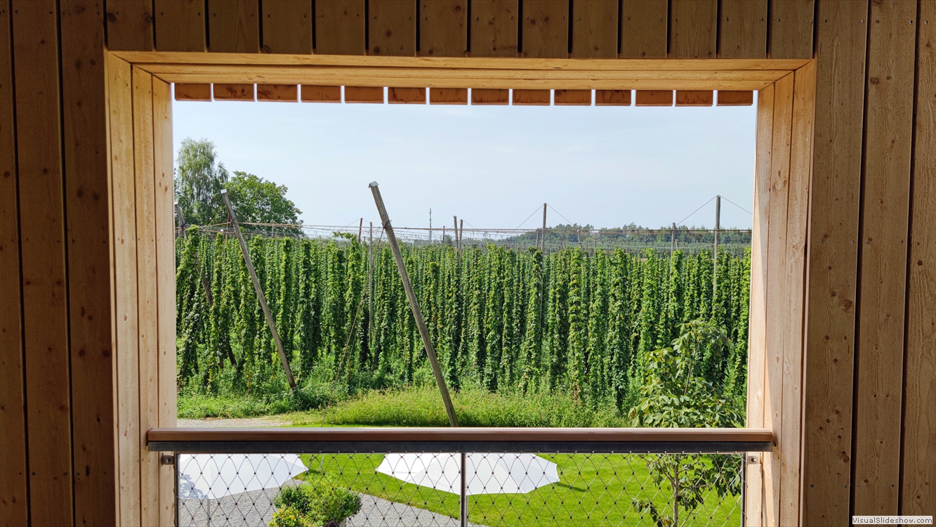 Tettnang Hop Museum