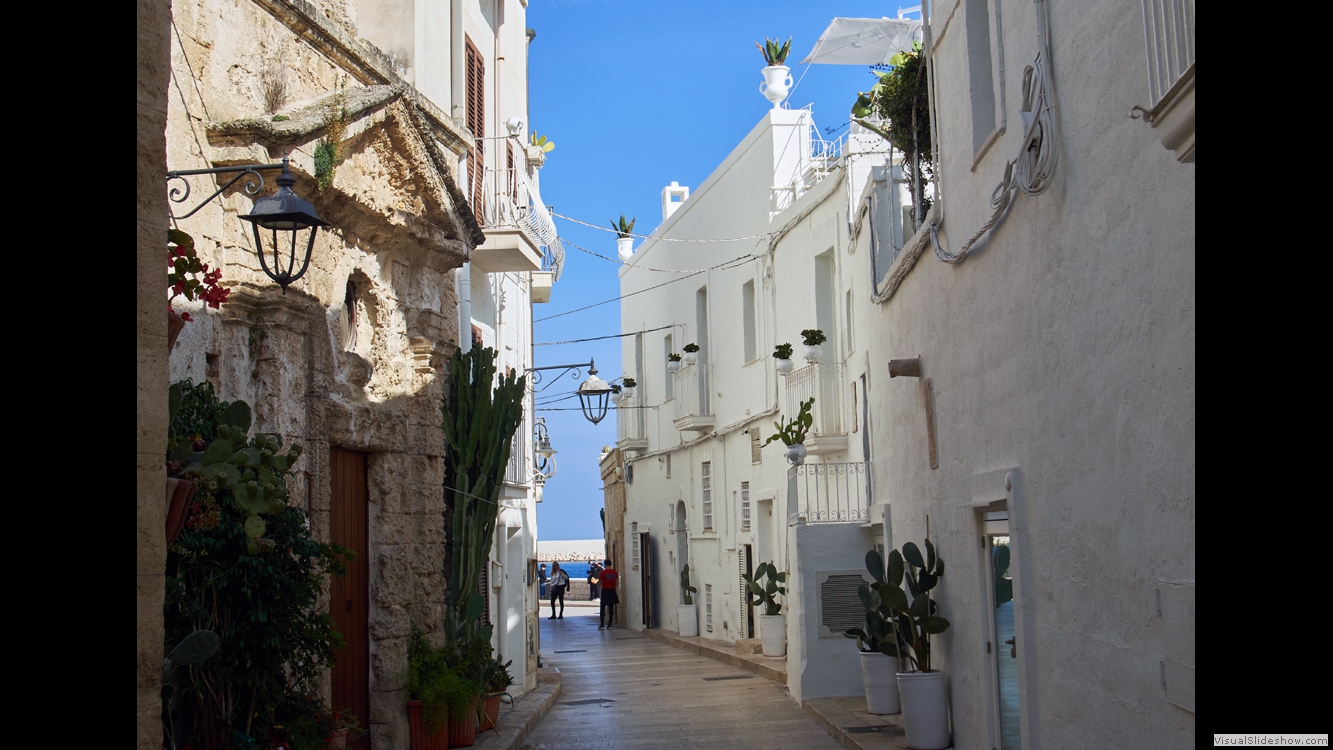 Monopoli