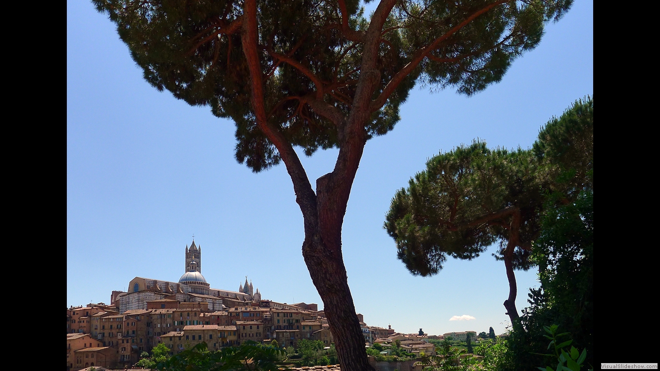 Siena 6