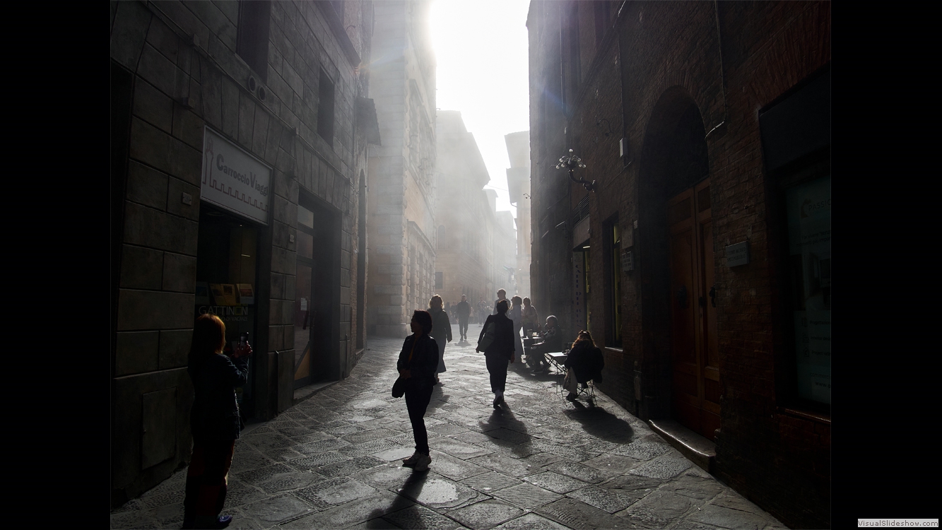 Siena 8
