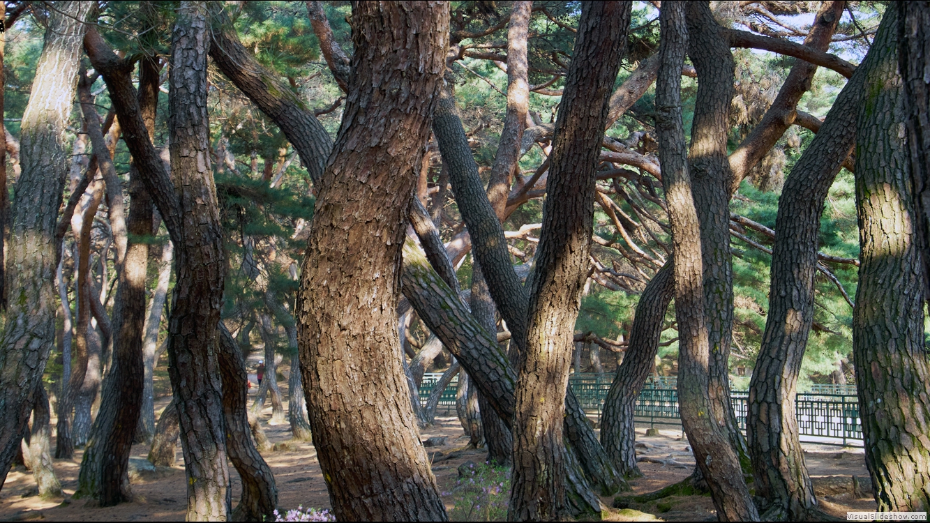 Gyeongju National Park