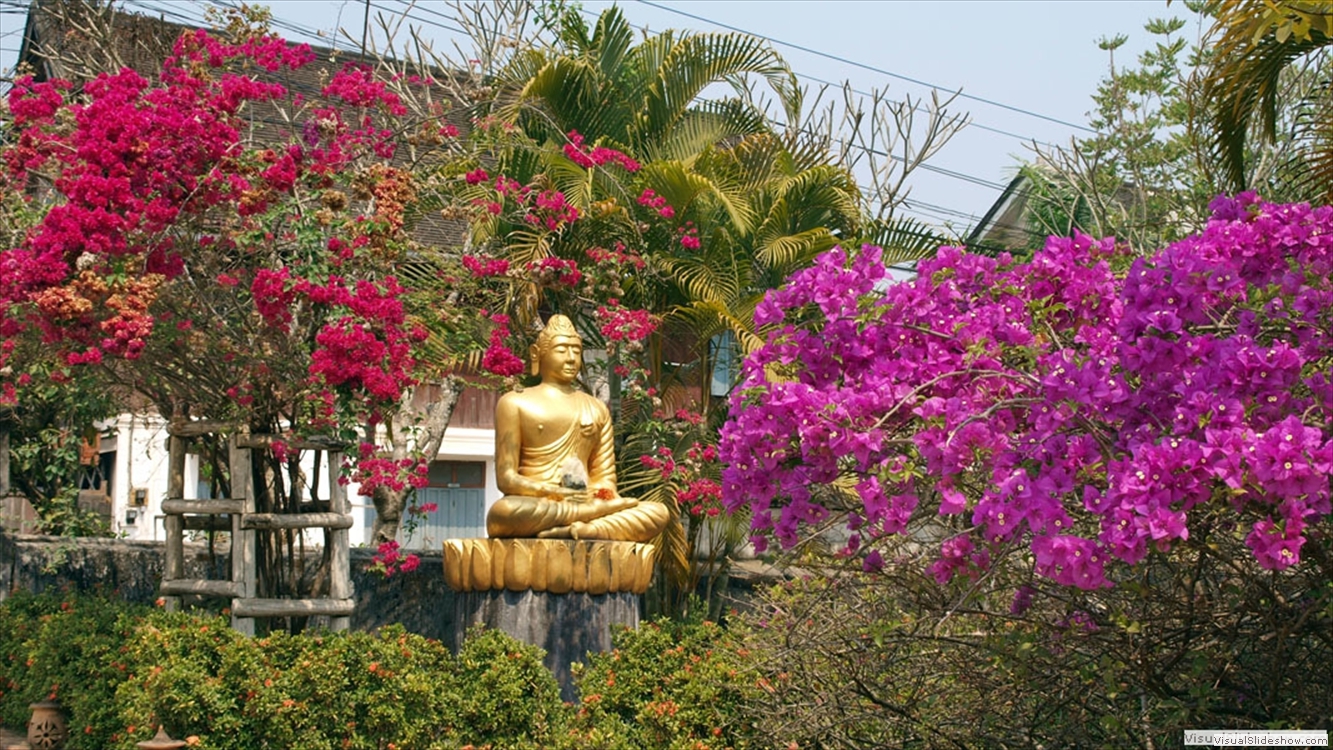 laos06