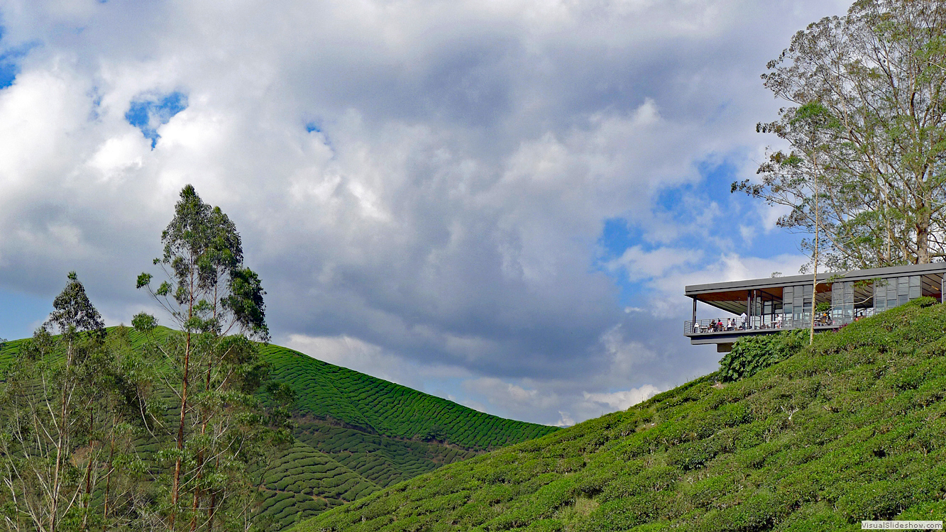 Cameron Highlands 1