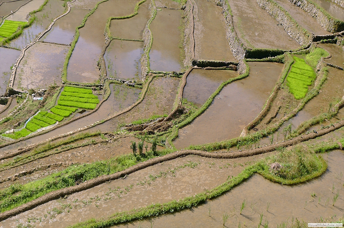 Banaue2