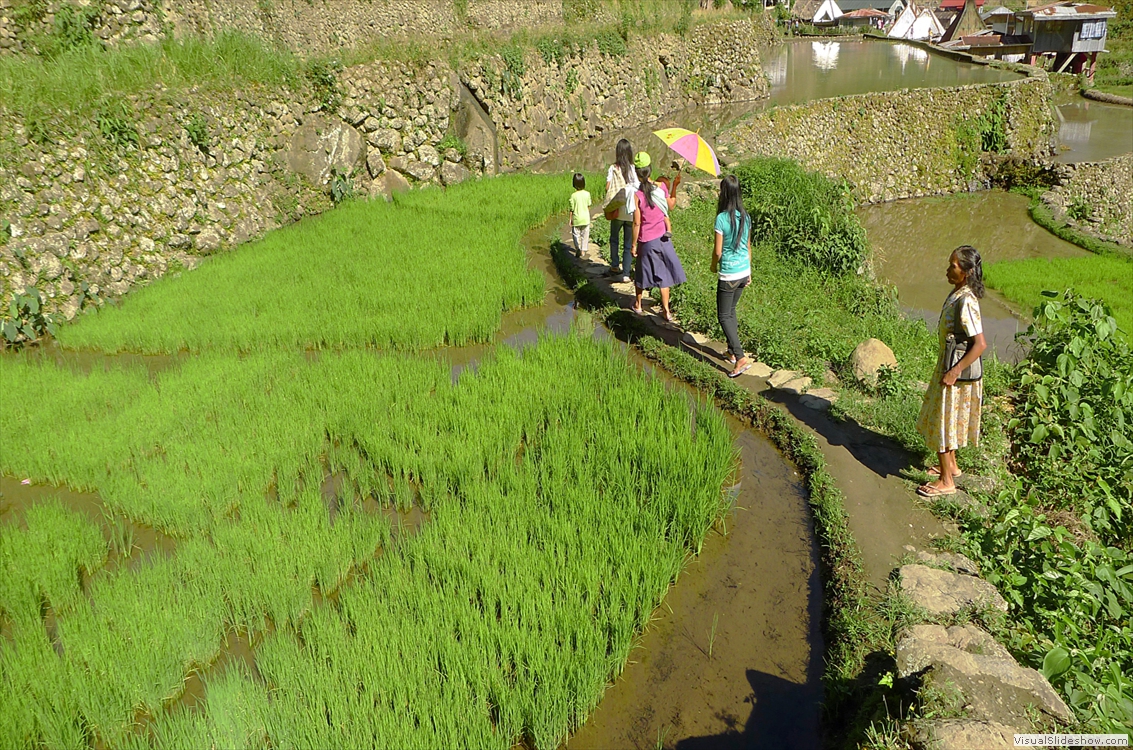 Banaue3