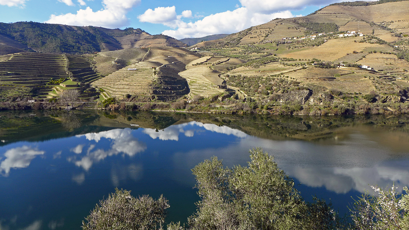 Alto Douro 2