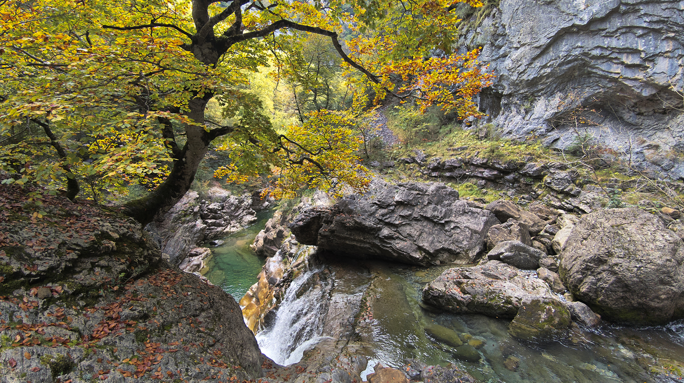 Anisclo Canyon