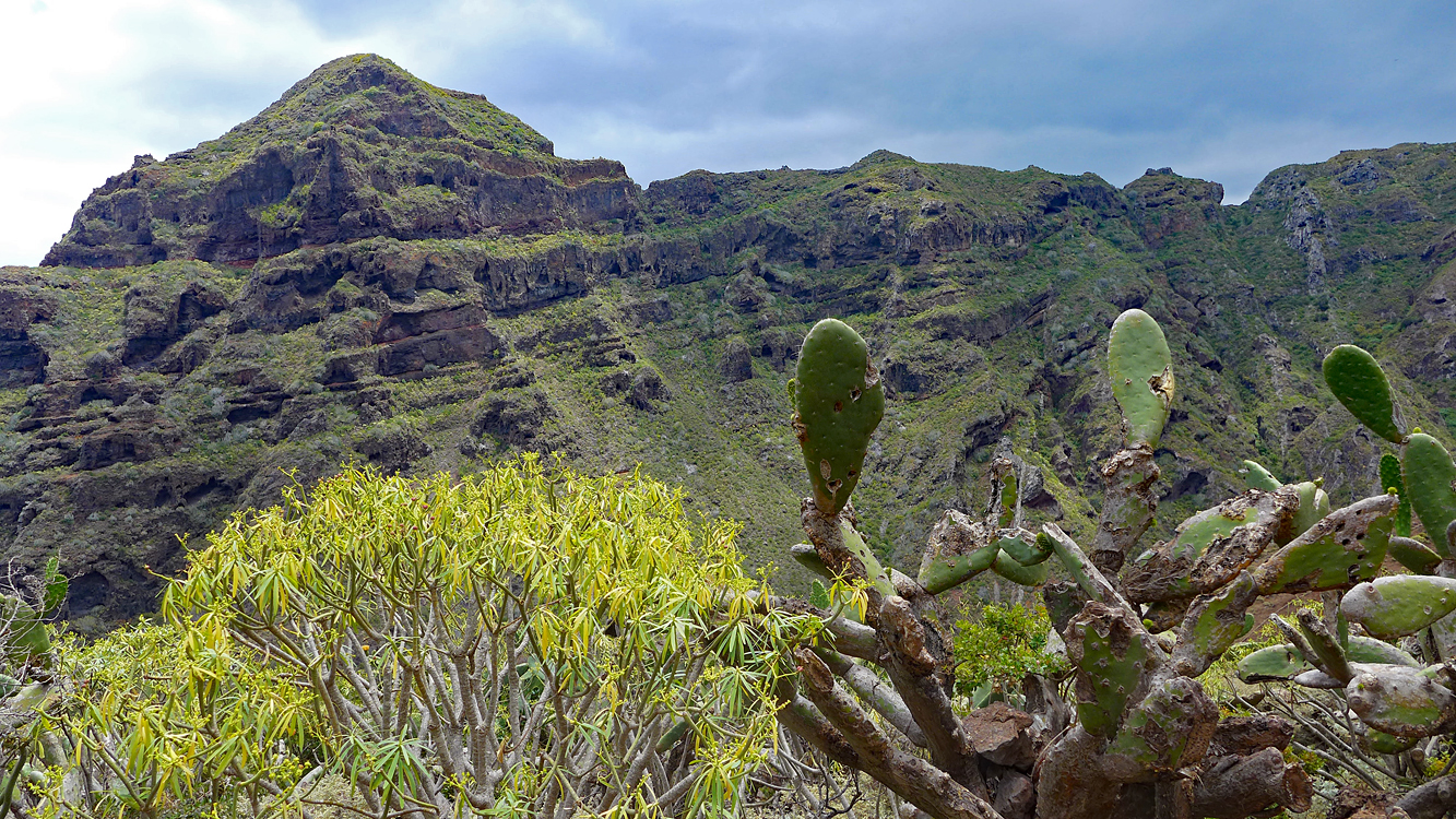 Tenerife Anaga