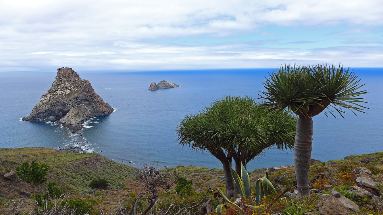 Tenerife Baja de la Goleta 1