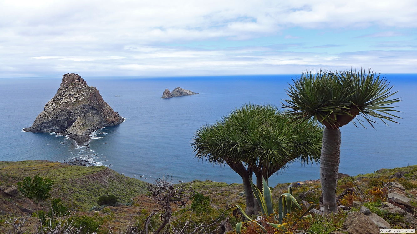 Tenerife Baja de la Goleta 1