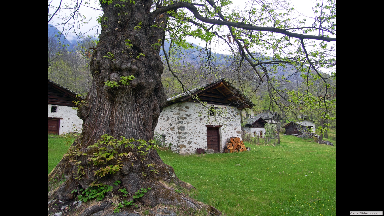 Soglio, Bregaglia 3