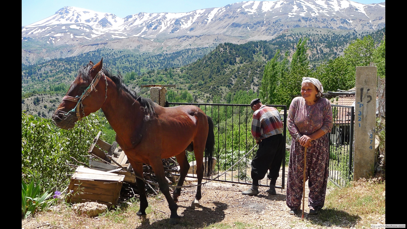 Taurus (White Mountains)