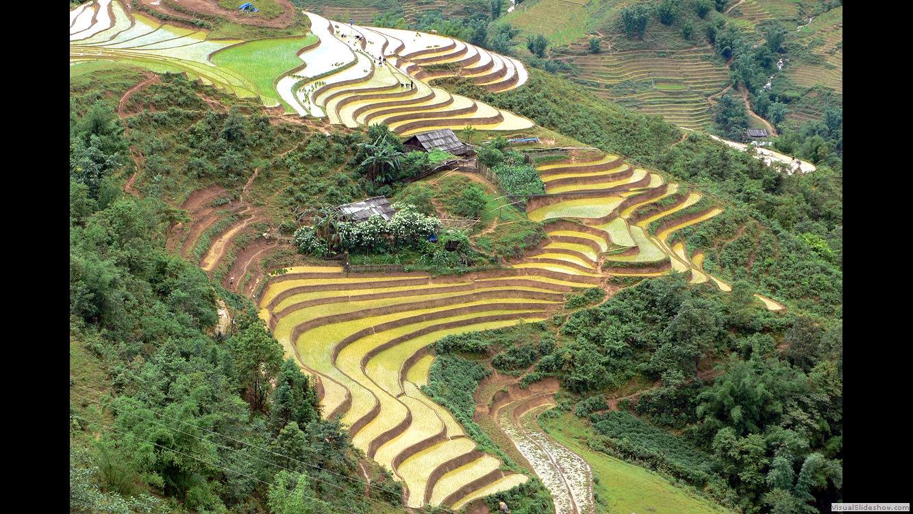 Sapa 2