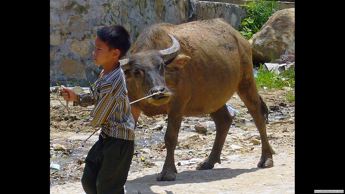 Sapa 3